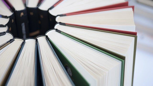 未就学児の親が読むべきバイリンガル教本６選 子供の 好き を英語で 家族でバイリンガルをめざす